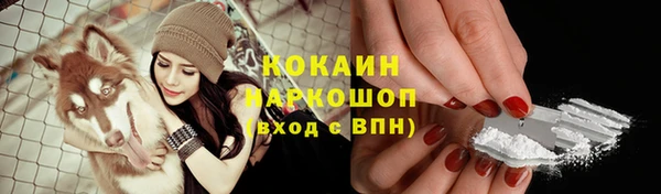 дурь Лагань