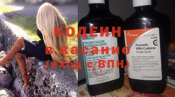 ПСИЛОЦИБИНОВЫЕ ГРИБЫ Кулебаки