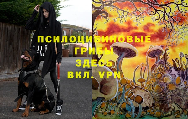 винт Кукмор
