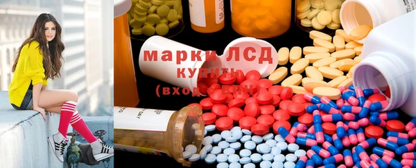 ПСИЛОЦИБИНОВЫЕ ГРИБЫ Кулебаки