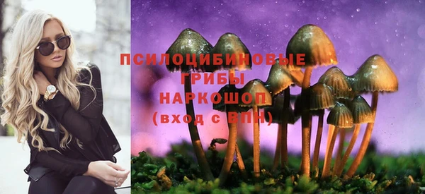 дурь Лагань