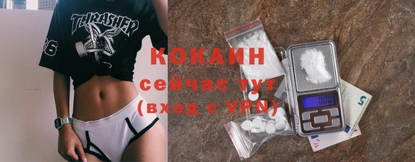 ПСИЛОЦИБИНОВЫЕ ГРИБЫ Кулебаки