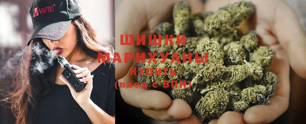 ПСИЛОЦИБИНОВЫЕ ГРИБЫ Кулебаки
