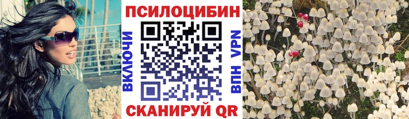 Псилоцибиновые грибы мухоморы  наркошоп  Холм 